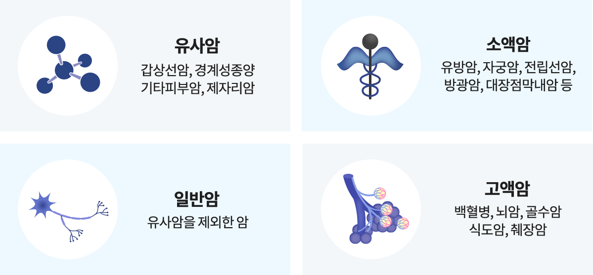 보험 유형별 설명