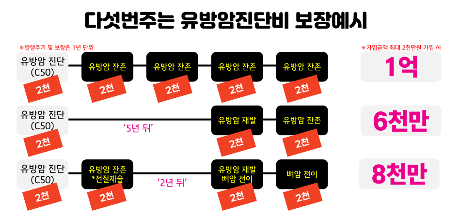 여성암보험 유방암수술 특약 선택가이드