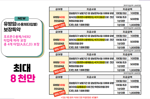 여성암보험 유방암수술 특약 선택가이드